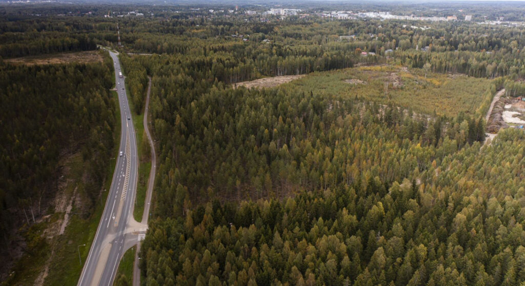 Landscape view of area.